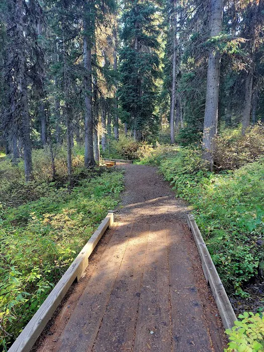 Therriault Lake Campground Picture 6