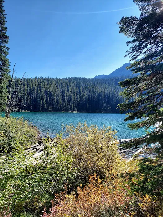 Therriault Lake Campground Picture 7