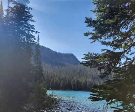 Therriault Lake Campground