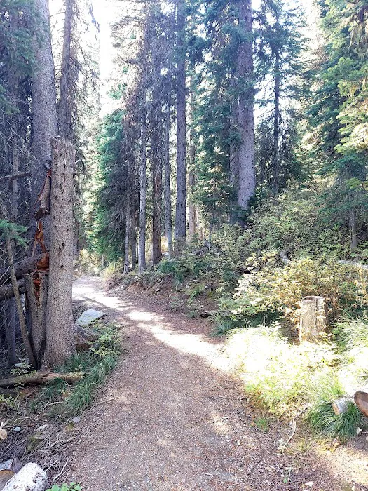 Therriault Lake Campground Picture 3