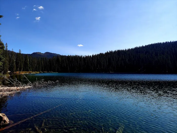 Therriault Lake Campground Picture 4