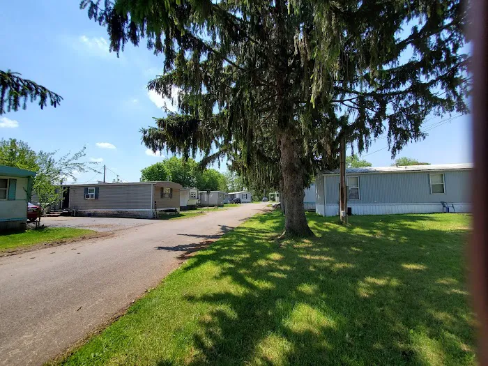 The Pines Mobile Home Park Picture 1