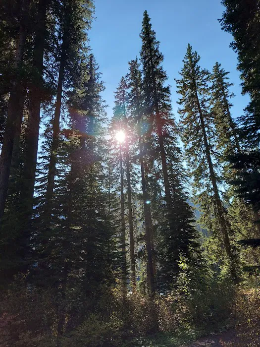 Little Therriault Lake Campground Picture 6