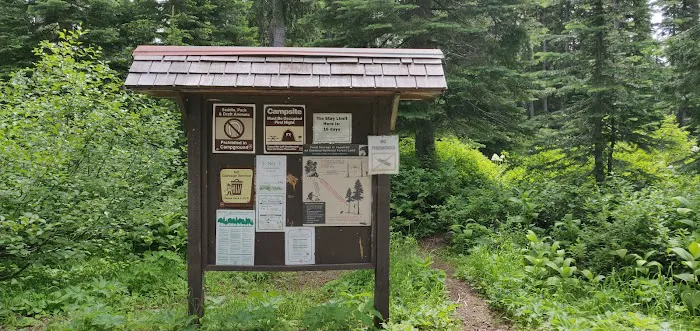 Little Therriault Lake Campground Picture 8