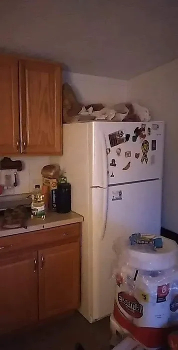 Sandstone Terrace Picture 1