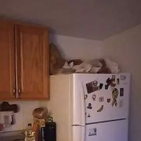 Sandstone Terrace ico