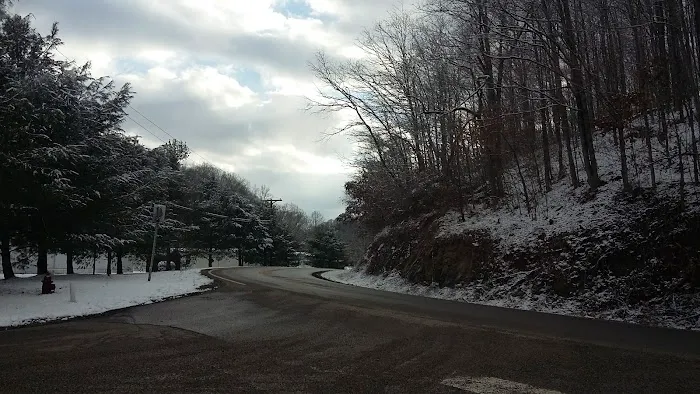 Sandstone Terrace Picture 4