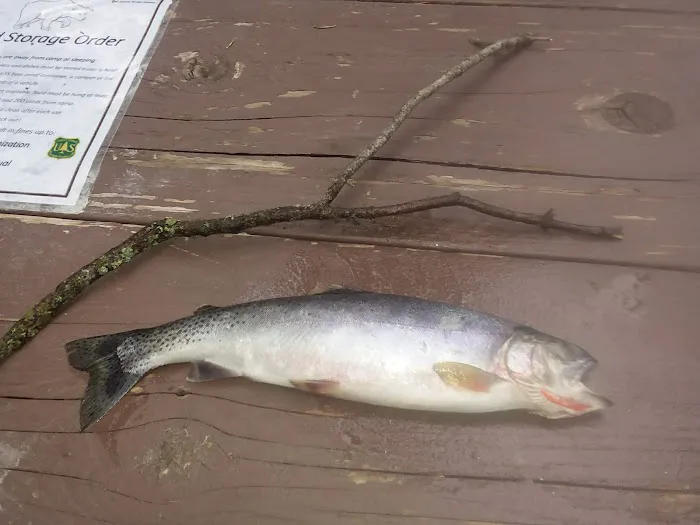 Big Therriault Campground Picture 1