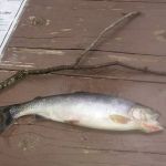 Big Therriault Campground