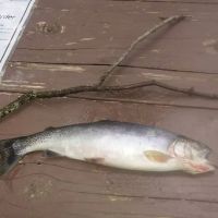 Big Therriault Campground ico