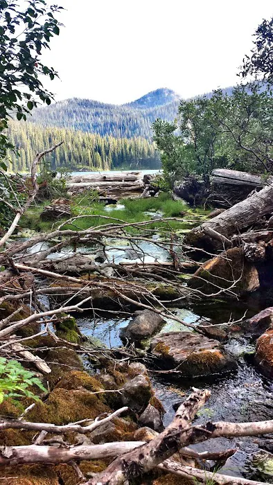 Big Therriault Campground Picture 6