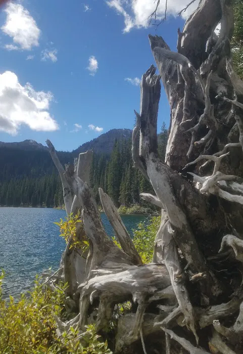 Big Therriault Campground Picture 7