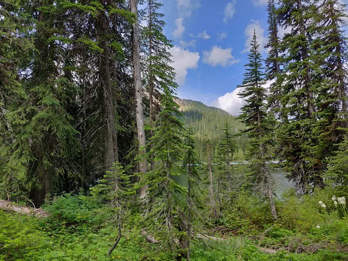 Big Therriault Campground Picture 10