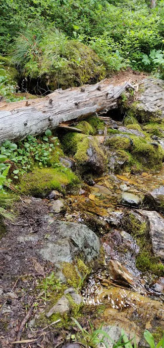 Big Therriault Campground Picture 8