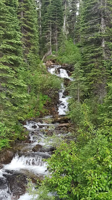 Big Therriault Campground Picture 5