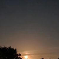 Tomoko Trailer Court l ico