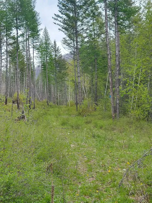 Birch Creek Recreation Area Picture 8