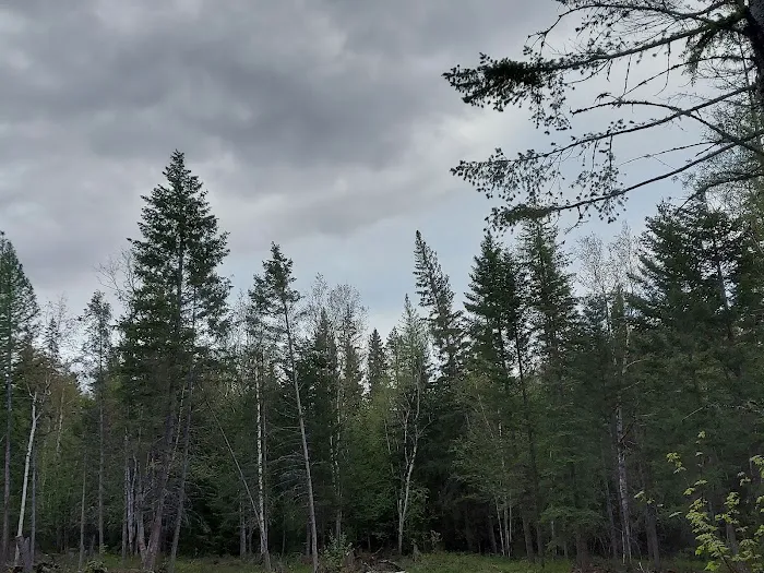 Birch Creek Recreation Area Picture 9