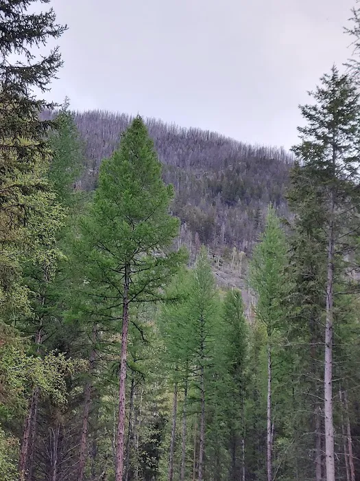 Birch Creek Recreation Area Picture 10
