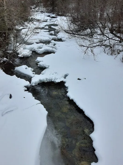 Birch Creek Recreation Area Picture 2