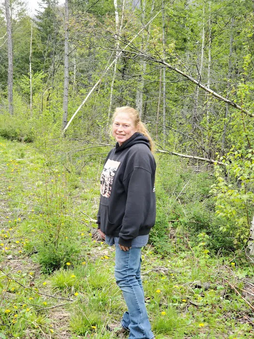 Birch Creek Recreation Area Picture 6