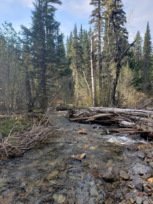 Clarence Creek Campground Picture 4