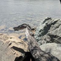 North Dickey Lake Campground ico