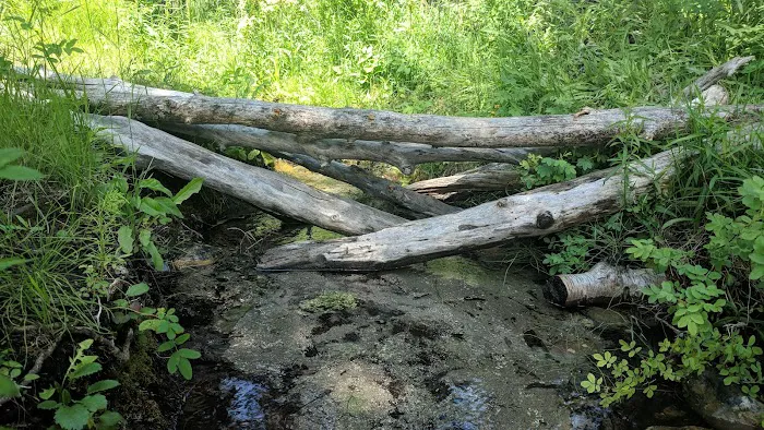 North Dickey Lake Campground Picture 2