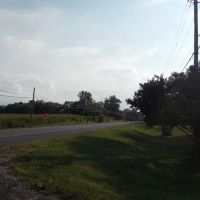 Edgewood mobile home park ico