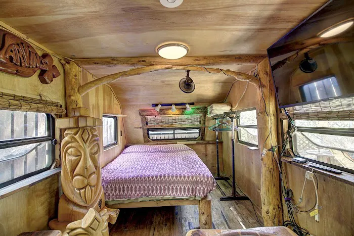 LionCamp Montana Picture 6