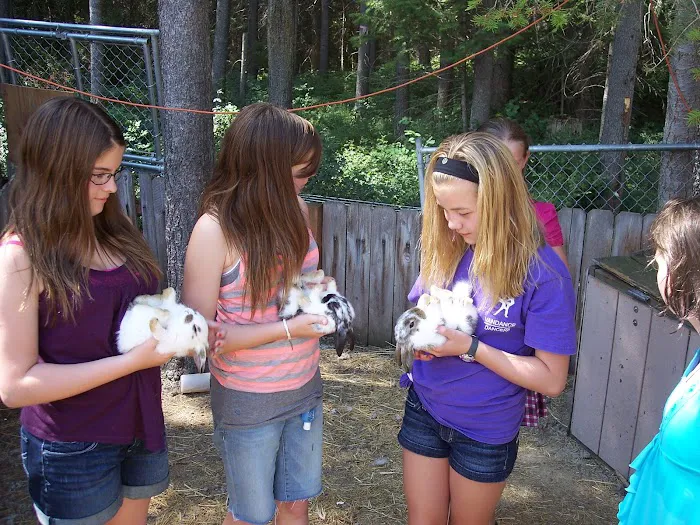 Whitefish / Kalispell North KOA Holiday Picture 2