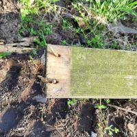 Carvel Manor Slums ico