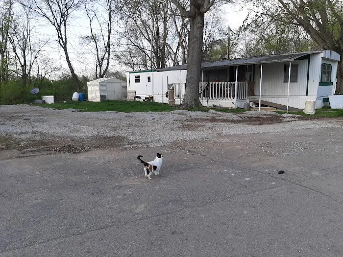 Carvel Manor Slums Picture 4