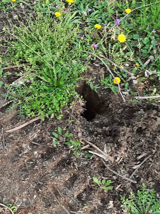 Carvel Manor Slums Picture 3