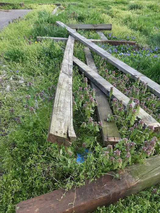 Carvel Manor Slums Picture 5