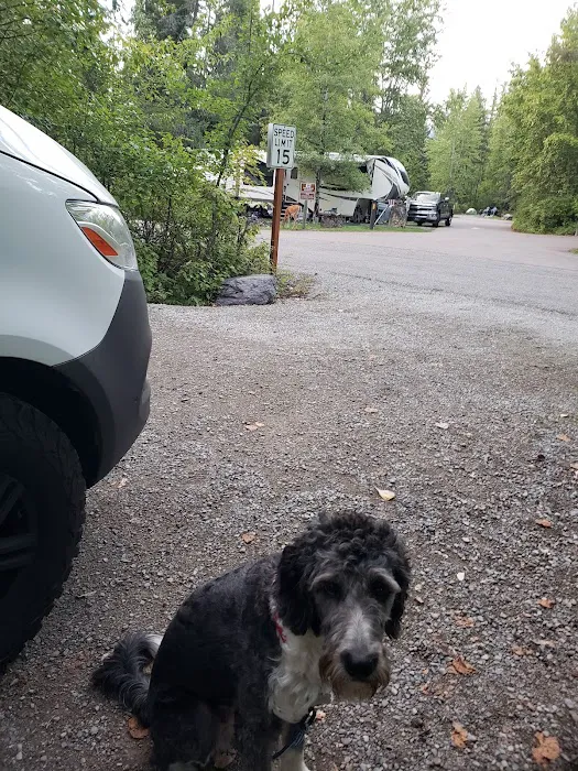 Whitefish Campground Picture 10