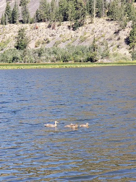 Rainbow Lake Campground Picture 8