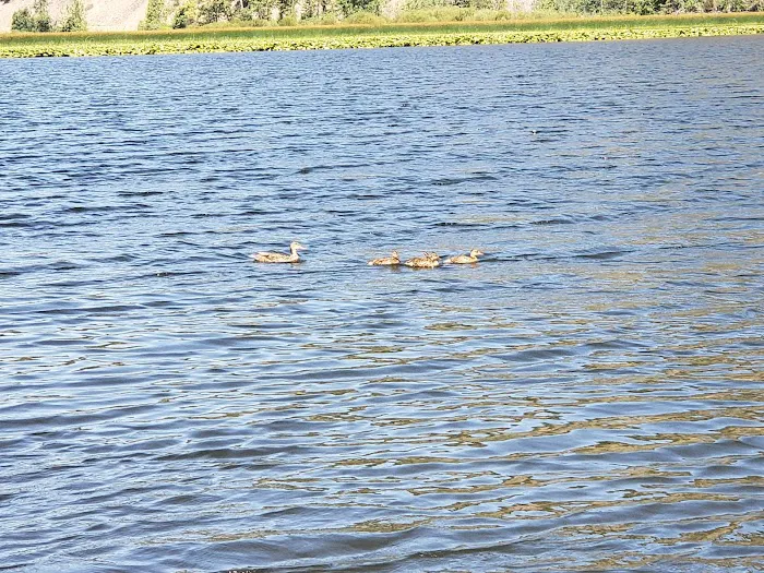 Rainbow Lake Campground Picture 4