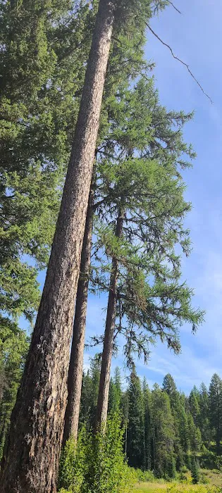 Upper Stillwater Lake Campground Picture 7