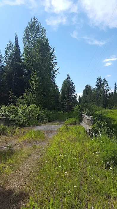 Spring Creek Campground Picture 1