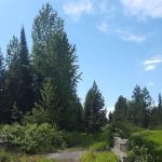 Spring Creek Campground