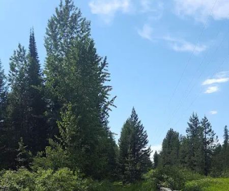 Spring Creek Campground