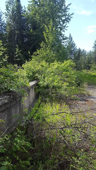 Spring Creek Campground Picture 3