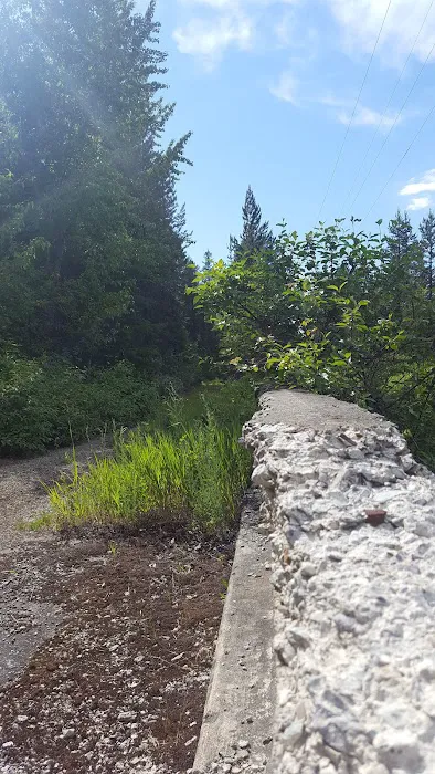 Spring Creek Campground Picture 5