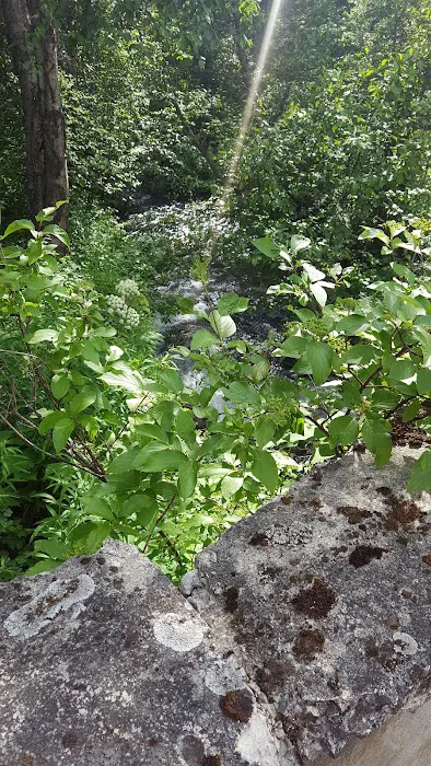 Spring Creek Campground Picture 4