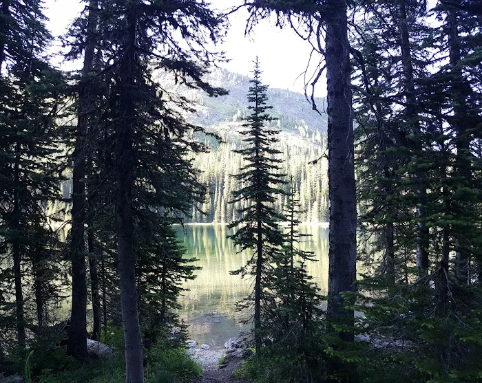 Moose Lake Campground Picture 10