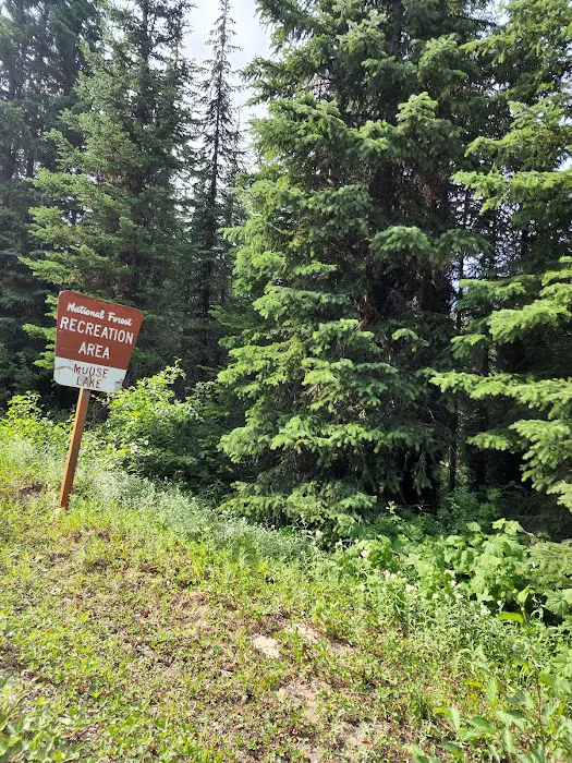 Moose Lake Campground Picture 1