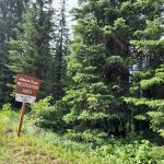 Moose Lake Campground