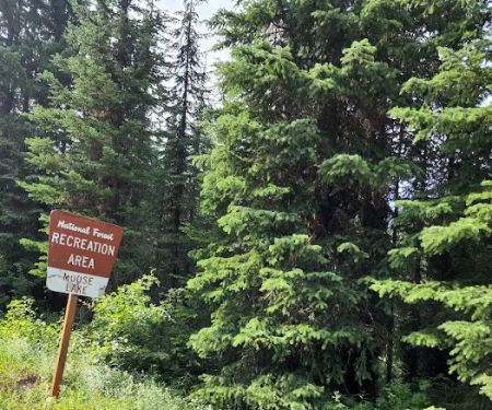 Moose Lake Campground