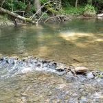 Czar Haus Cabins and RV Sites